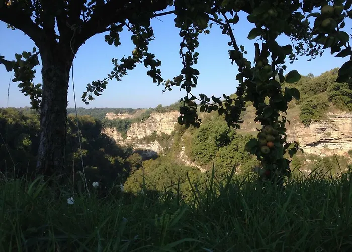 Les Parentheses Occitanes - Maison Del Traouc